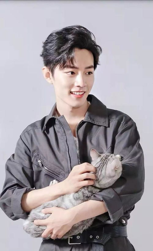 坚果失宠？肖战与新欢互动揭秘