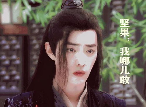 坚果失宠？肖战与新欢干果的亲密互动引发热议