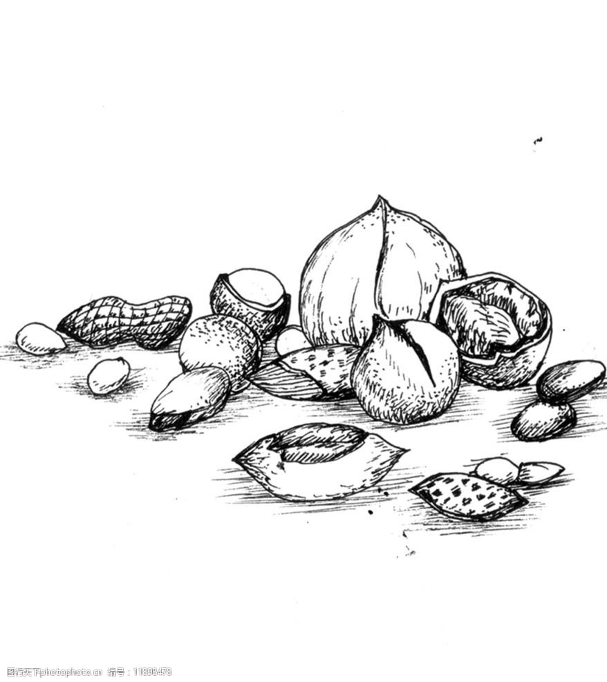 手绘坚果图片