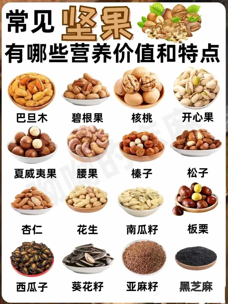 常见坚果的营养宝库 揭秘小小坚果的健康密码